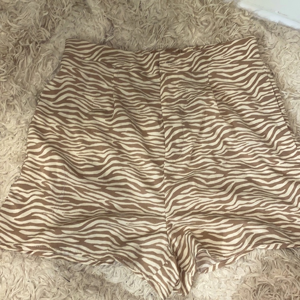 Zebra Print Shorts